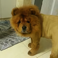 我是老肥爸爸头像