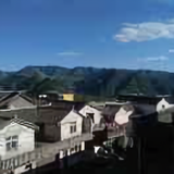 莘縛哋豬头像