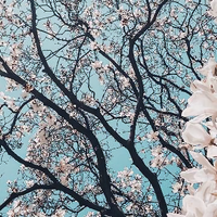 余光74622793头像