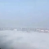 黑色玫瑰whxhd头像