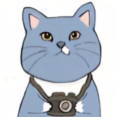 猫贼摄影头像