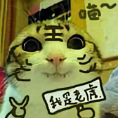 咸豆花都是异教端头像