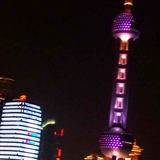 阳阳淳淳207头像