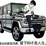 生死看淡不服咱就干501头像