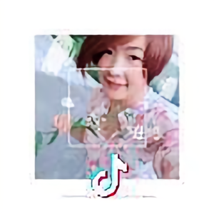 竹子头像