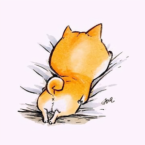 张小潴头像