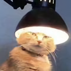 十里画楼头像