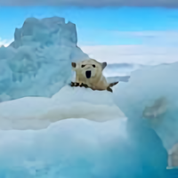 精神不神经头像