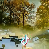 临窗L头像