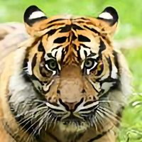 法外狂徒张三在此头像