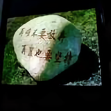 叶子的离开，是风的追求头像
