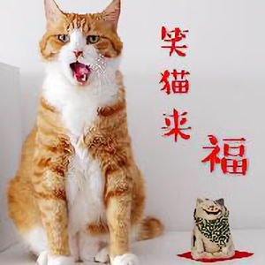 笑猫来福头像