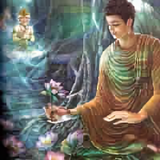 伟盛商贸222头像
