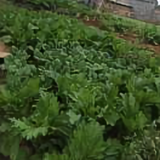 徐小慧164头像