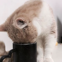 蹦哒向前看头像