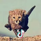 青竹头像
