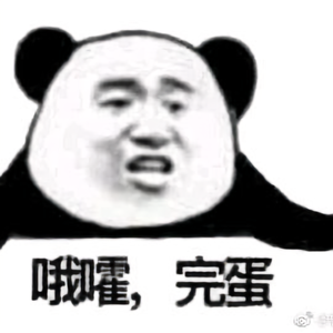 小朱头像