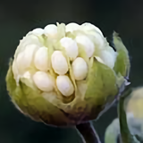 天际的彩虹936头像