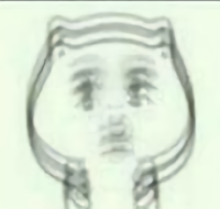 楠朋友nan头像