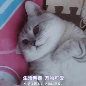 小猫咪醒醒睡不醒头像