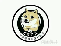 CSCA总秘书长头像