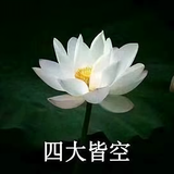 凡念0头像