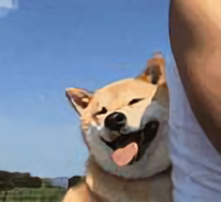 在下照水头像