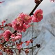 一一112768511头像