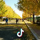 晗哥头像