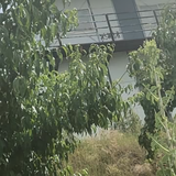 用户6606983850117缘头像
