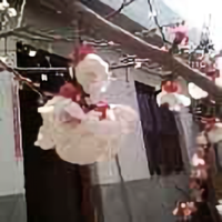 指尖上的光明799头像