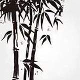 夏末57316头像