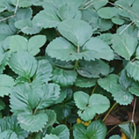 一路有你8712871头像