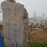 热情糯米aP头像