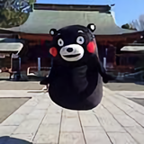 二道丸子头像