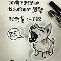 功夫熊猫7877头像