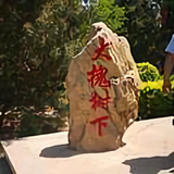 董向前头像