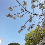 sianla72头像