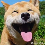 哎要要切克闹头像