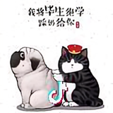 CCCCCCCCCong头像