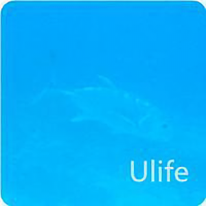 Ulife头像