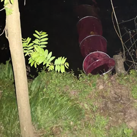 阳阳羊肉串头像