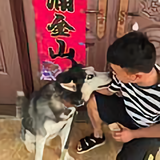 用户1482212448716头像
