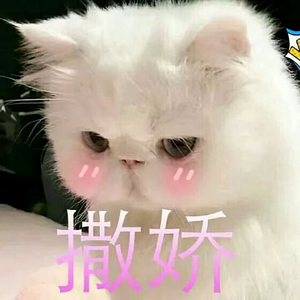 猪猪可了头像