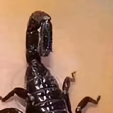 我爱你中国123789头像