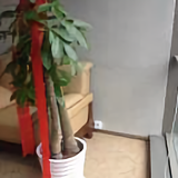 日子不是那么好混的头像