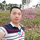 花无缺头像