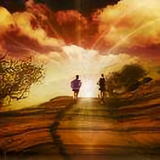 容易记住269头像