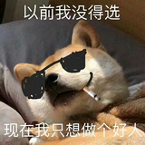 尼古拉斯丁丶山头像