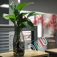 翼头像